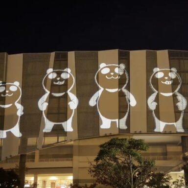 イオンブラックフライデー10周年記念 プロジェクションマッピング